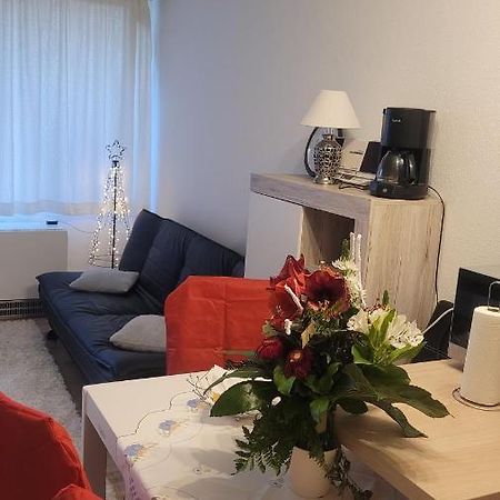 Ryan Apartament Sankt Englmar Bagian luar foto