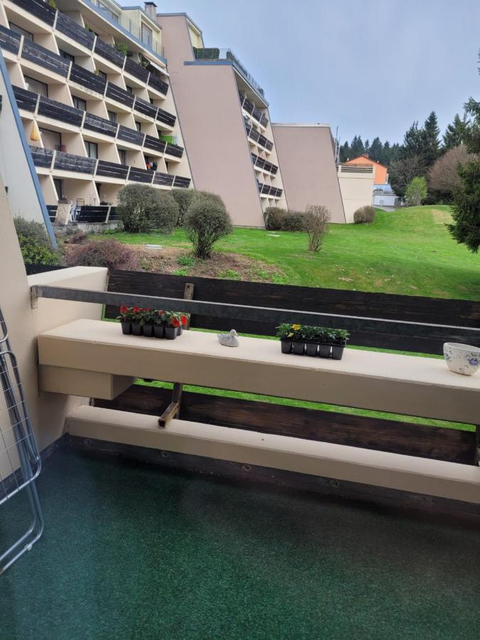 Ryan Apartament Sankt Englmar Bagian luar foto