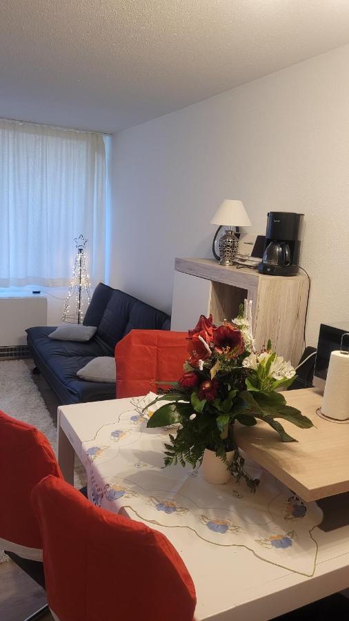 Ryan Apartament Sankt Englmar Bagian luar foto
